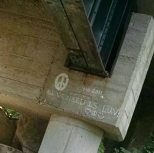 Meet your Posher, Ann